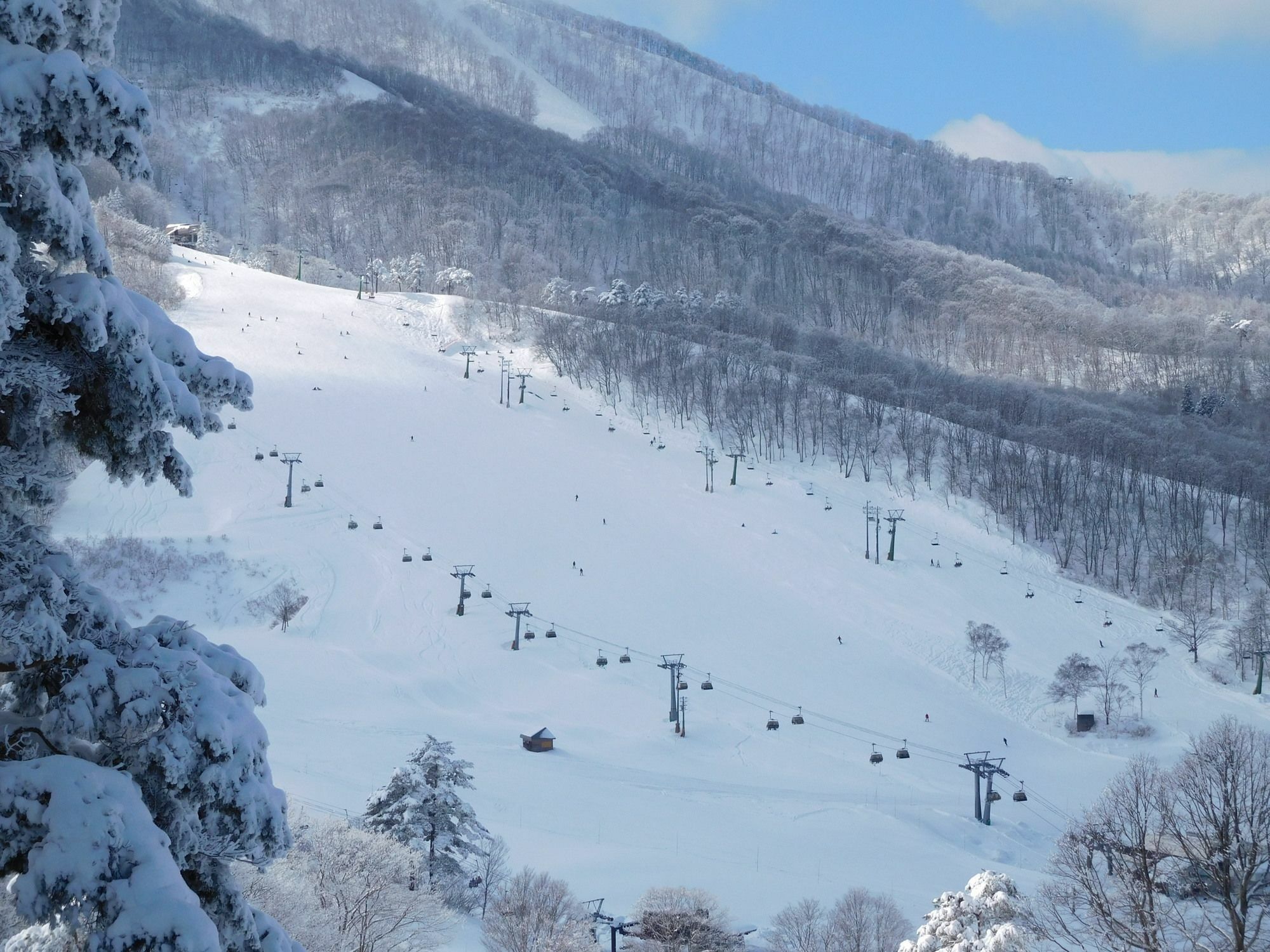 Madarao Elm Pension Iiyama Exterior photo